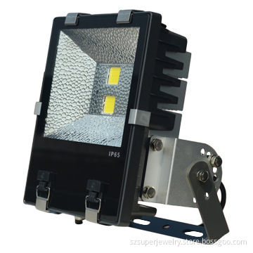 Marine LED Floodlights, 100W